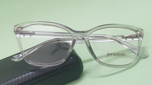 Pegasus Retro eyeglasses LH3009