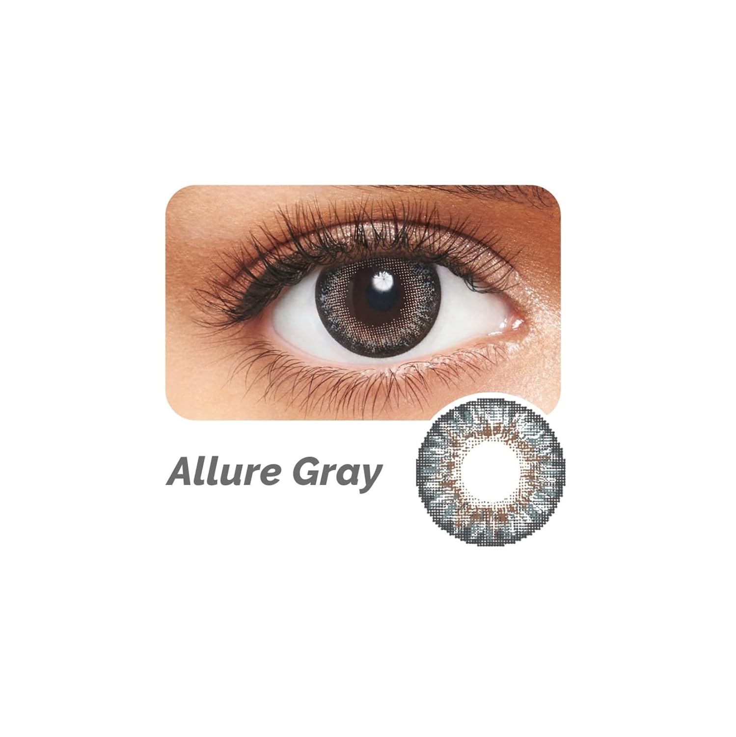 FreshLook Circle Color Allure Gray Daily Disposable Lenses