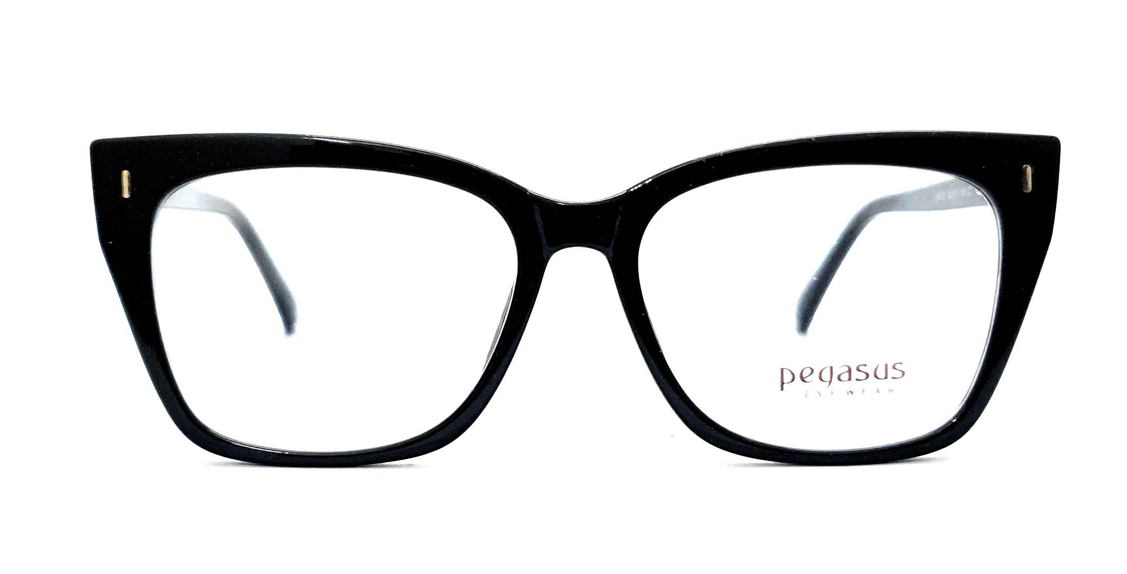 Pegasus Retro eyeglasses LH6003