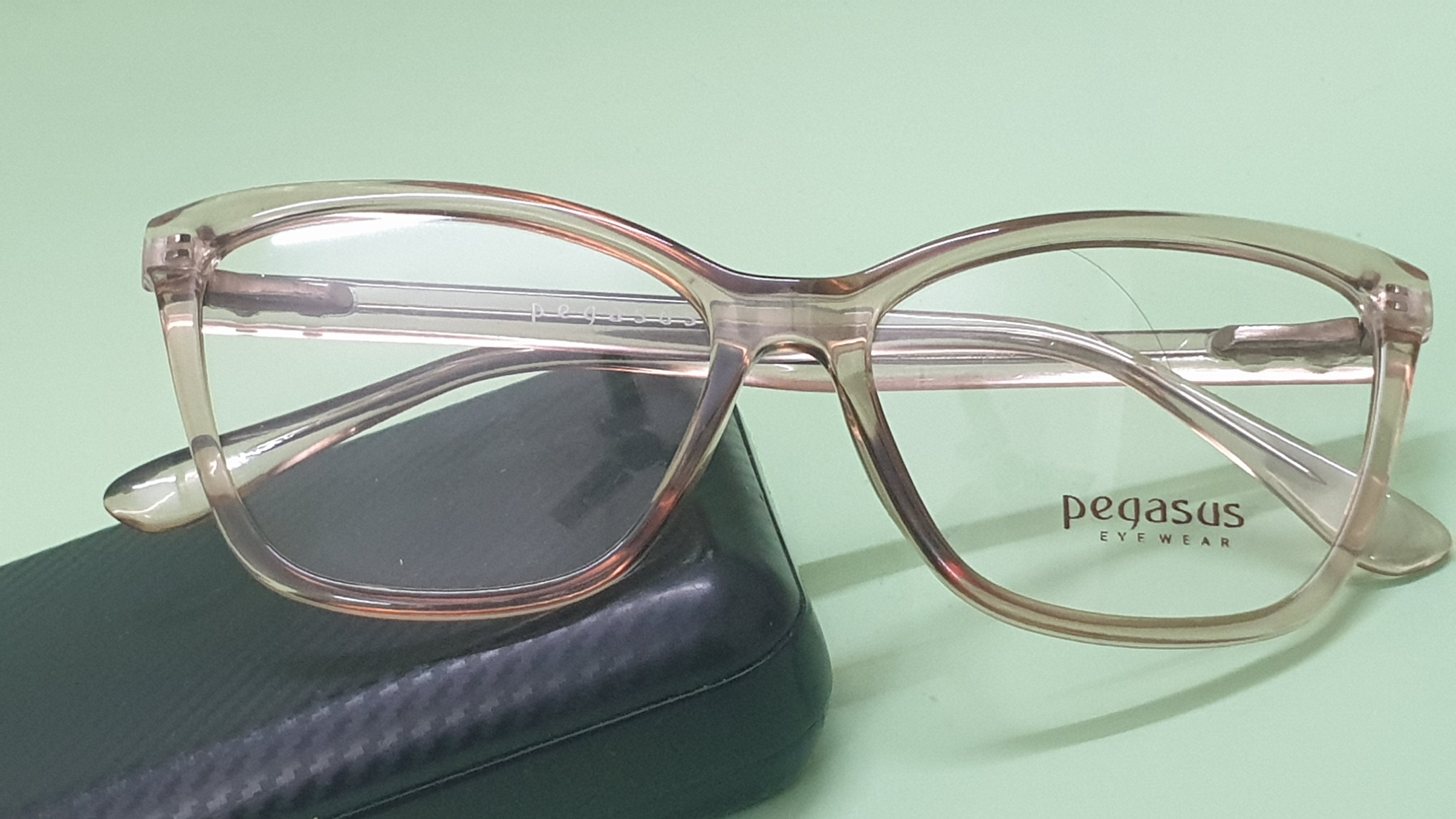 Pegasus Retro eyeglasses LH3009