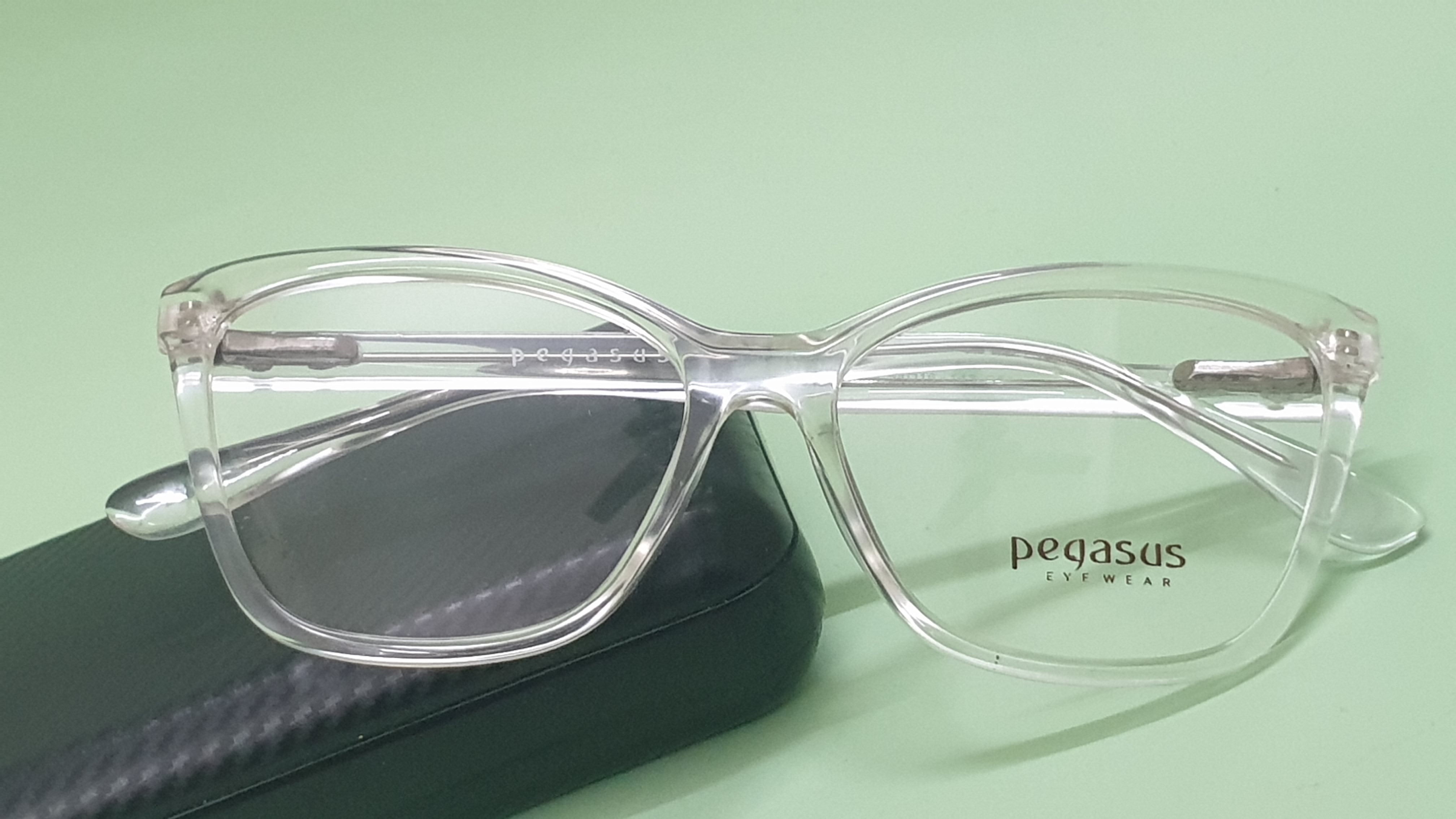 Pegasus Retro eyeglasses LH3009