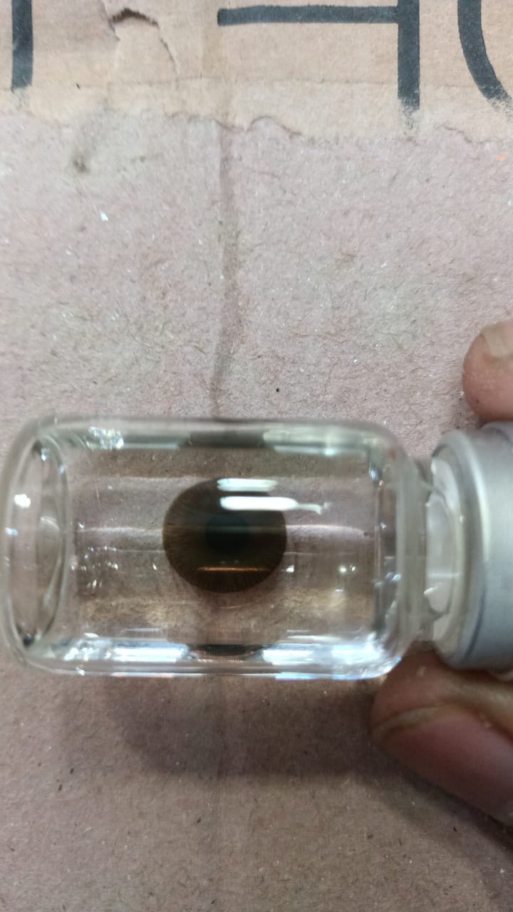 Medium Brown Prosthetic Contact Lenses Image